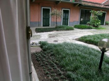 Centro Torino monoloc contesto piacevole - Giardino