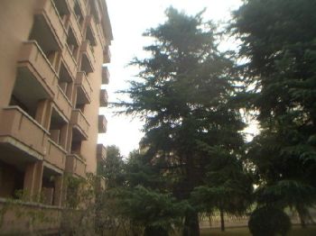 Appartamento affitto Rho - Ingresso