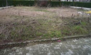 Casa con giardino e garage Fidenza - Altre fotografie