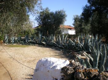 Villa in campagna - Box / Posto auto