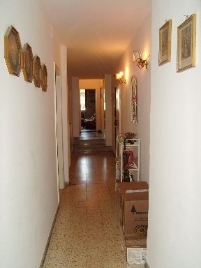 Appartamento affitto Firenze - Altre fotografie