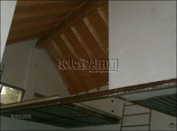 Appartamento affitto Cologno Monzese