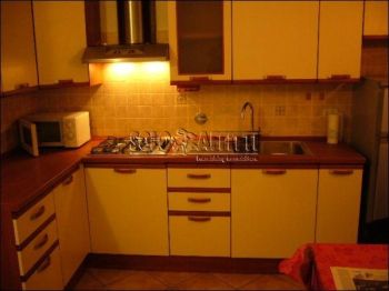 Appartamento affitto Torino