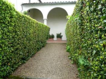 Appartamento affitto Firenze - Altre fotografie