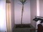 Appartamento con balcone Politeama libert�