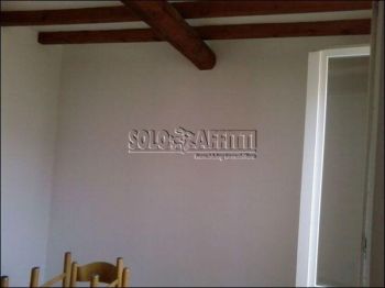 Appartamento affitto Montechiarugolo