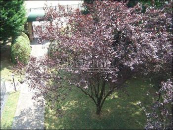 Trilocale arredato con balcone Paderno Dugnano