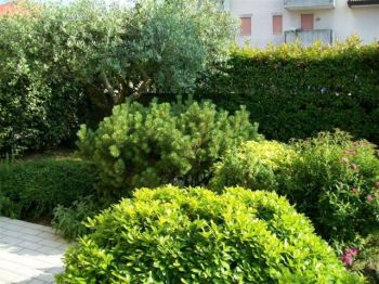 Appartamento Spinea - Altre fotografie