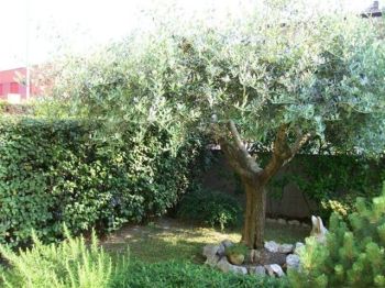 Appartamento Spinea - Altre fotografie