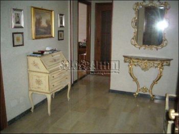 Appartamento affitto Torino