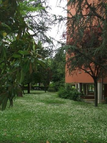 Appartamento arredato con garage Castenaso - Altre fotografie