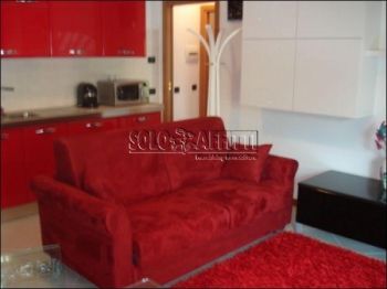 Appartamento arredato con giardino Cologno centro