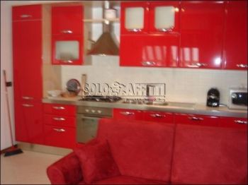 Appartamento arredato con giardino Cologno centro