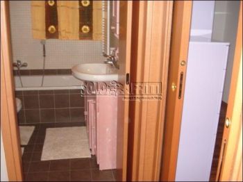 Appartamento arredato con giardino Cologno centro