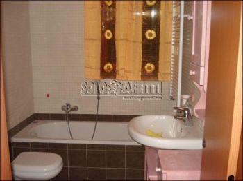 Appartamento arredato con giardino Cologno centro