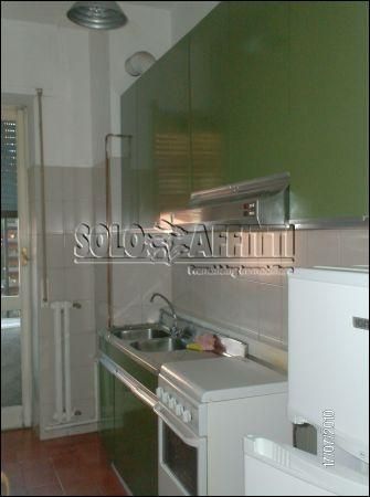 Appartamento arredato con giardino Cologno centro