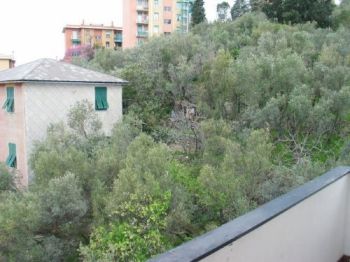 Appartamento Genova - Altre fotografie