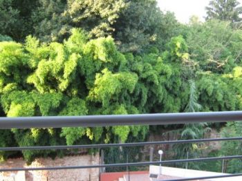 Appartamento Spinea - Altre fotografie