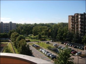 Appartamento affitto Bollate