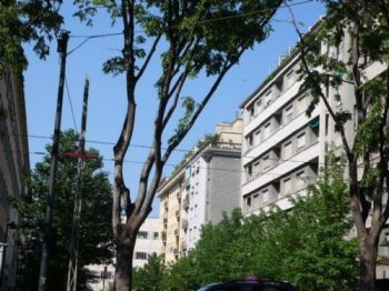 Appartamento affitto Torino - Altre fotografie