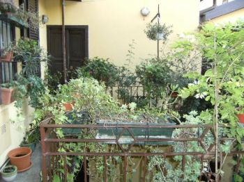 Appartamento arredato Milano - Altre fotografie