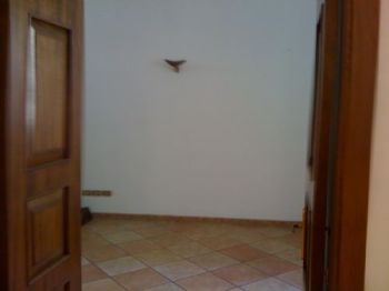 Casa con posto auto Vomero - Altre fotografie