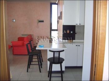 Trilocale arredato con garage Paderno