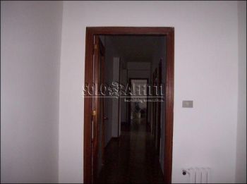 Appartamento affitto Palermo
