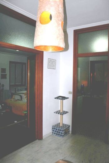 Bilocale Centro - Altre fotografie