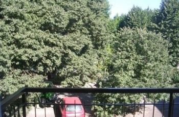 Casa arredata con balcone Segrate
