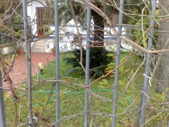 Casa con terrazzo e balcone Mondello partanna
