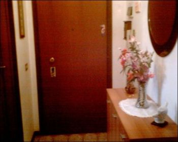 Casa arredata con terrazzo Cologno centro