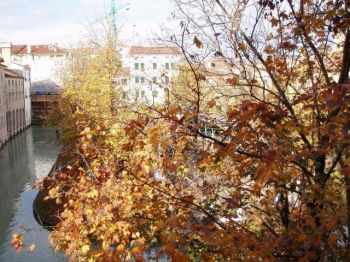 Appartamento affitto Treviso - Altre fotografie