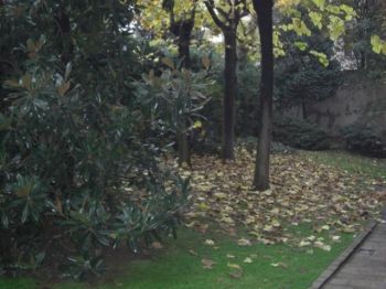 Casa con balcone 7- baggio, de angeli, san siro