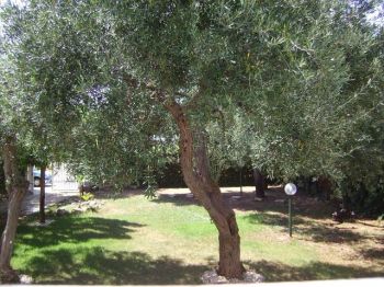 Appartamento con giardino e terrazzo