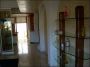 Appartamento arredato con balcone Livorno