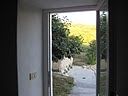 Splendido appartamento in villa