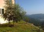 Splendido appartamento in villa