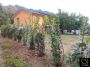 Casa arredata con giardino Lucca