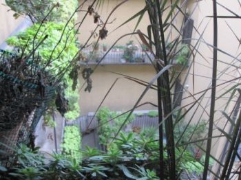 Casa studenti V giornate, xxii marzo, porta romana - Altre fotografie