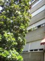Appartamento in condominio Mazzini