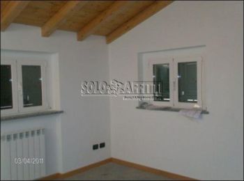 Appartamento affitto Cologno Monzese