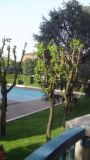 Appartamento arredato con terrazzo Bocconi, c.so