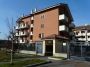 Monolocale arredato Arese