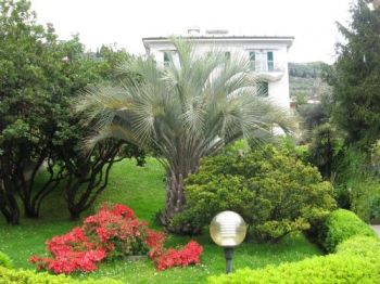 Bilocale con posto auto e terrazzo Nervi - quinto al mare - Altre fotografie