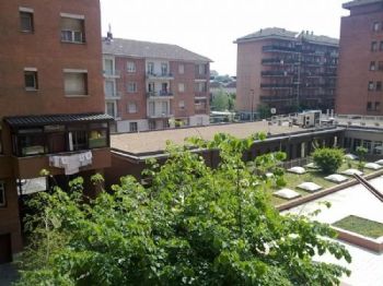 Appartamento arredato con terrazzo Santa rita - Altre fotografie