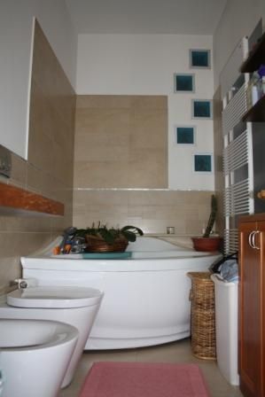 100mq luminosissimi in riva alla Dora - Bagno