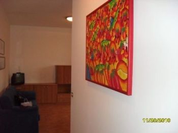 Appartamento arredato Garbagnate Milanese