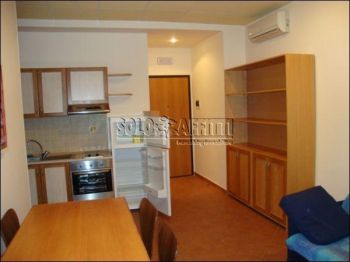 Bilocale arredato con terrazzo Centro