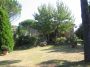 Casolare con piscina e parco
